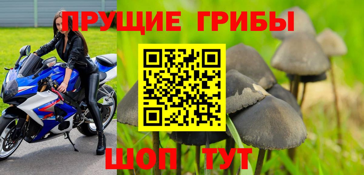 Егорьевск  Галлюциногенные грибы Cubensis  Галлюциногенные грибы Magic Shrooms  Вход с VPN 
